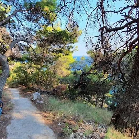 Semesterbostad Captain Branko *